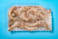 top view frozen prawns on blue horizontal composition