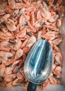 Top view of frozen prawns and metal scoop in market. Deepfrozen pink shrimps, vertical orientation Royalty Free Stock Photo