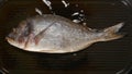 TOP VIEW: Frying Dorade fish on a pan Royalty Free Stock Photo
