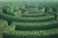 Top view of a garden maze Royalty Free Stock Photo