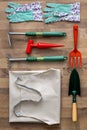 Top view garden tools on wooden texture Royalty Free Stock Photo