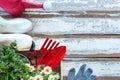 Top view on gardening a shovel filled with soil and flowers potted tool in the garden summer spring time, copy space. Royalty Free Stock Photo