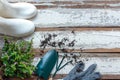 Top view on gardening a shovel filled with soil and flowers potted tool in the garden summer spring time, copy space. Royalty Free Stock Photo