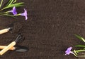 Top view of gardening tools and beautiful flower on soil. Agriculture background concept with copy space. World envionment day Royalty Free Stock Photo