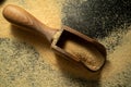 TOP VIEW: Garlic powder in the wooden scoop on the black surface.