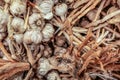 Top view, garlic sticks, displayed on food market