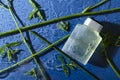 Top view of glass bottle of male aromatic liquid for beauty proceduces on the wet blue surface and mint leaves, stems on it Royalty Free Stock Photo