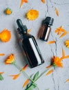 Top view of glass bottles of calendula essential oil with fresh marigold.