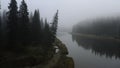 Top view of gloomy forest with river and fog. Clip. Mystical dark forest with river and thick fog. Creepy landscape with Royalty Free Stock Photo