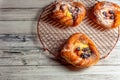 Top view of golden chese danish pasties with blackberries and powder sugar Royalty Free Stock Photo