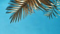 Top view, Golden palm leaves on classic dark blue background. Copy Space