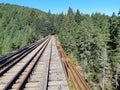 Inactive rail line in the forest