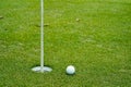 Top view of a golf ball on green course at hole. Golf ball and golf club on green in the evening golf course with sunshine Royalty Free Stock Photo