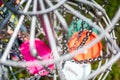 Top view of a golf basket chains with discs blurred below Royalty Free Stock Photo