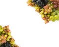 Top view. Grapes on white background. Grapes with copy space for text. Blue, red and green grapes.