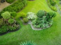 Top view of grass field and tree in the garden