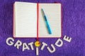 Top View of Gratitude Journal Royalty Free Stock Photo