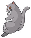 Top view of gray chubby cat in cartoon style, Vector illustration