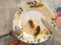 Top view on a greasy plate with bread and beef meat leftovers