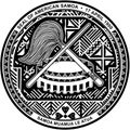 Top view of Great Seal of US Federal State of American Samoa. United States of America patriot and travel concept. Plane design,