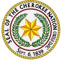 Top view of Great Seal of US Federal State of cherokee nation. United States of America patriot and travel concept. Plane design,
