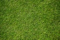Top view of green artificial grass in outdoor garden.    Green Grass for Background Texture. Golf Course Green lawn for background Royalty Free Stock Photo