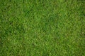 Top view of green artificial grass in outdoor garden.    Green Grass for Background Texture. Golf Course Green lawn for background Royalty Free Stock Photo