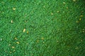 Top view of green artificial grass in outdoor garden.    Green Grass for Background Texture. Golf Course Green lawn for background Royalty Free Stock Photo