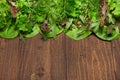 Top view of green dill, parsley, salad, herbs and other greens on a dark wooden background, concept of fresh vegetables and Royalty Free Stock Photo