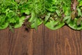 Top view of green dill, parsley, salad, herbs and other greens on a dark wooden background, concept of fresh vegetables and Royalty Free Stock Photo