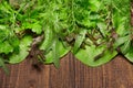 Top view of green dill, parsley, salad, herbs and other greens on a dark wooden background, concept of fresh vegetables and Royalty Free Stock Photo