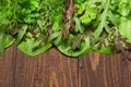 Top view of green dill, parsley, salad, herbs and other greens on a dark wooden background, concept of fresh vegetables and Royalty Free Stock Photo