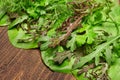 Top view of green dill, parsley, salad, herbs and other greens on a dark wooden background, concept of fresh vegetables and Royalty Free Stock Photo