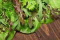 Top view of green dill, parsley, salad, herbs and other greens on a dark wooden background, concept of fresh vegetables and Royalty Free Stock Photo