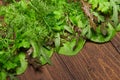 Top view of green dill, parsley, salad, herbs and other greens on a dark wooden background, concept of fresh vegetables and Royalty Free Stock Photo