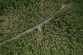 top view green forest landscape aerial natural scenery of pine trees and contrasting road path country path through pine trees