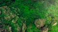 Top view green forest, rocks and forest drone view.