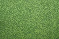 Top view of green fresh Azolla  Mosquito fern  is a kind of small water fern on the water Royalty Free Stock Photo