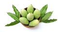 Fresh organic Barracuda mangoes fruit in a beautiful Thai wicker on white background in Thailand. Tropical fruit in thailand.