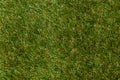 top view of green grass, earth Royalty Free Stock Photo