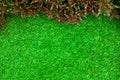 Top view .Green grass lawn in nature for background and texture Royalty Free Stock Photo