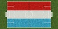 Top view of Green grass soccer field with flag of Luxembourg. football background. 3d illustration