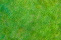 Top view of green grass texture background. Royalty Free Stock Photo