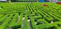 Top view of green hedge maze with bridges and concrete pathways