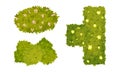 Top view of green hedges of different shapes set. Park and garden decorative elements, summer landscape design cartoon