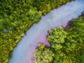 Top view of green mangrove forest with blue red river Royalty Free Stock Photo