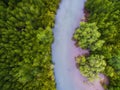 Top view of green mangrove forest and red blue river Royalty Free Stock Photo