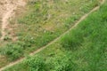 Top view with green meadow and small way Royalty Free Stock Photo