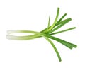 Top view of Green onion isolated on the white background Royalty Free Stock Photo