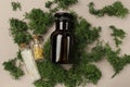 Top view of green plant on the brown surface, beauty bottles